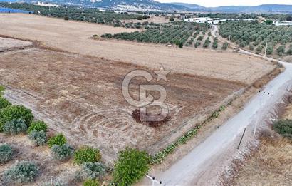 KAT KARŞILIĞI Foça Yenibağarası