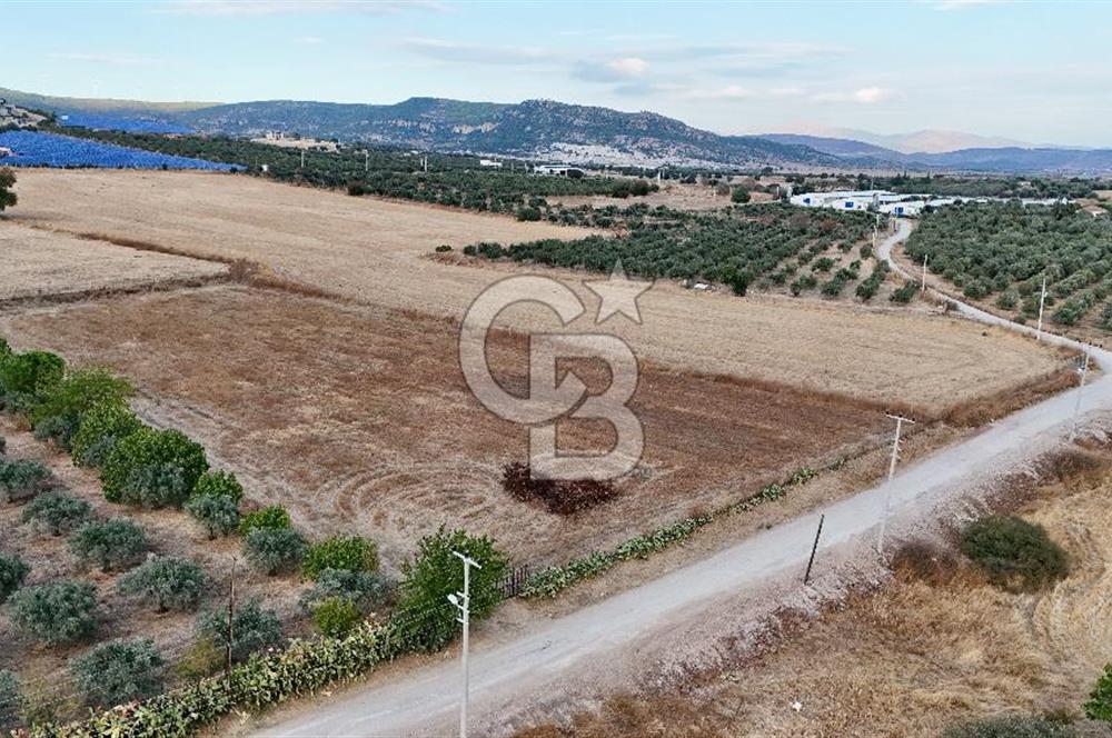KAT KARŞILIĞI Foça Yenibağarası