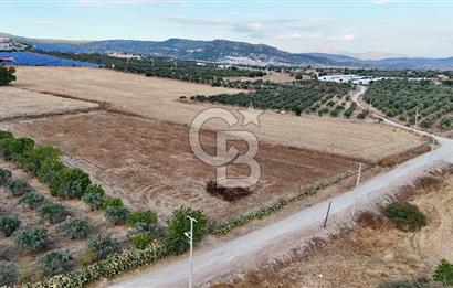 KAT KARŞILIĞI Foça Yenibağarası