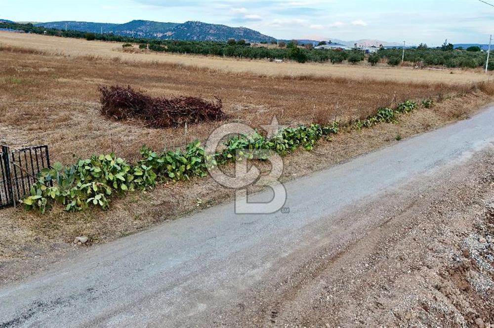 KAT KARŞILIĞI Foça Yenibağarası