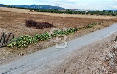 KAT KARŞILIĞI Foça Yenibağarası