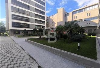 Ertuğrul Mah Kiralık 3+1 Daire - 1 - 376877