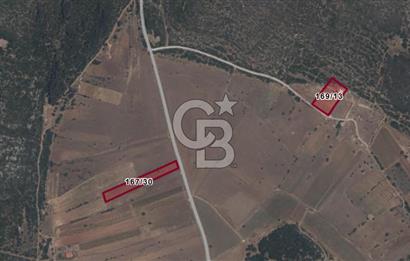 KARABURUN EĞLENHOCA' DA SATILIK FIRSAT TARLA