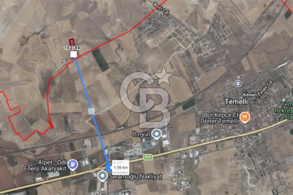 TEMELLİ BACI YOLA YAKIN 500 M2 TARLA HİSSESİ