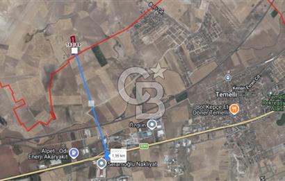 TEMELLİ BACI YOLA YAKIN 500 M2 TARLA HİSSESİ