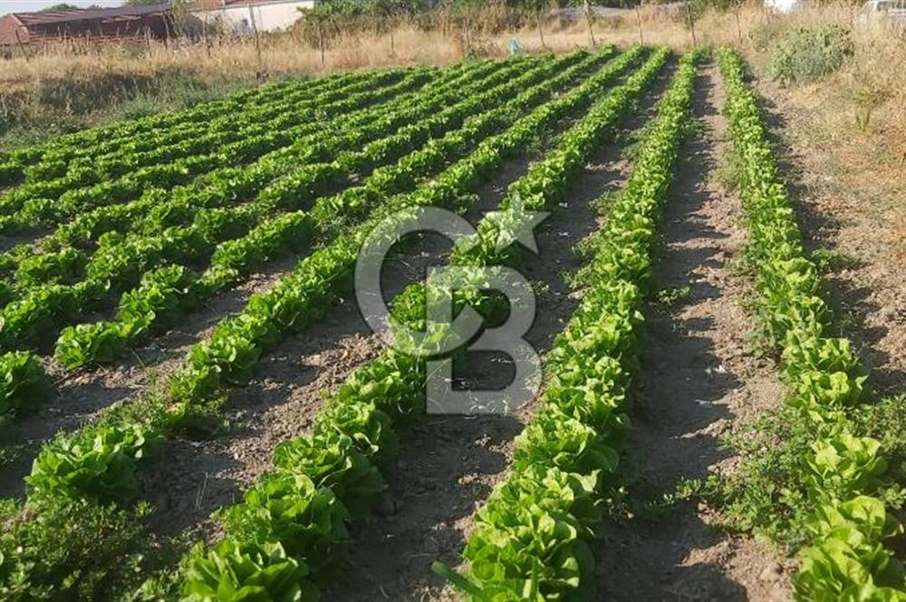 MUĞLA YATAĞAN HİSARARDINDA SATILIK TAŞ EV + DAM VE ARAZİSİ