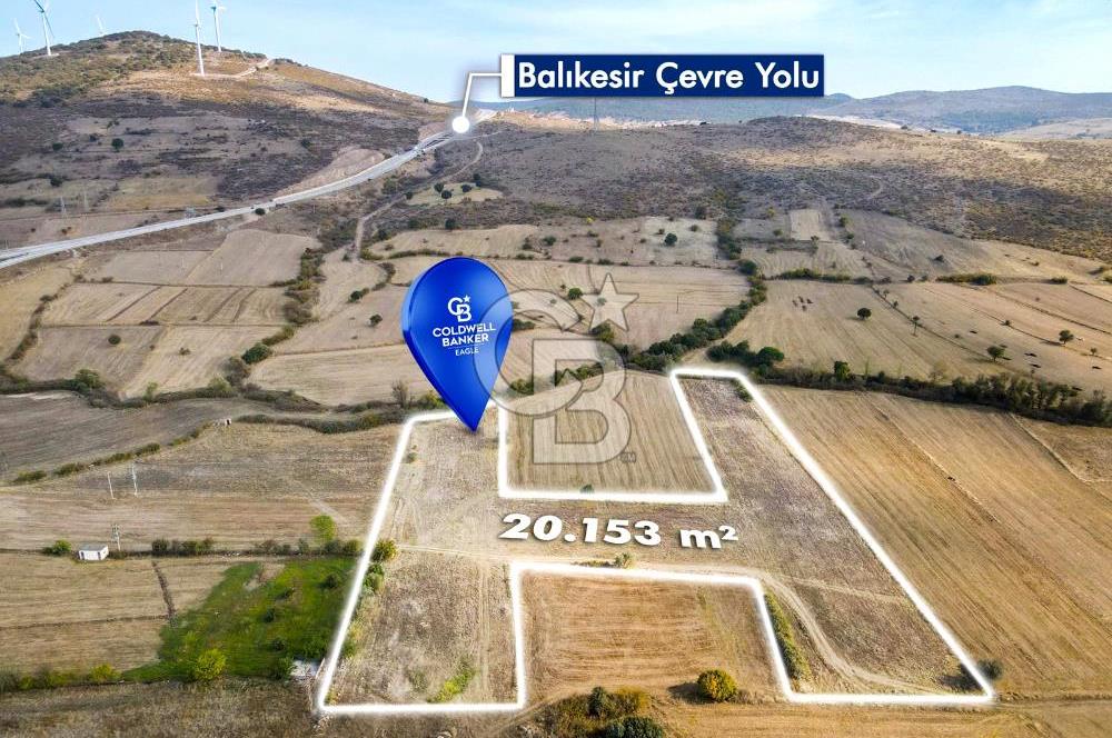 CB EAGLE'DAN KALAYCILAR MAH. 20.153 m² SATILIK TARLA