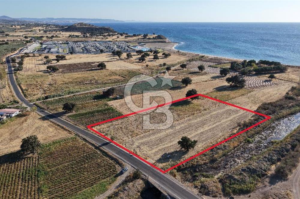 ÇANAKKALE EZİNE AKÇAKEÇİLİDE 7775 m² ASFALT YOLA CEPHE SATILIK ARAZİ