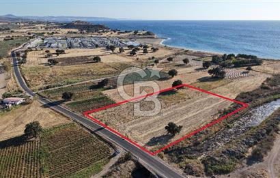 ÇANAKKALE EZİNE AKÇAKEÇİLİDE 7775 m² ASFALT YOLA CEPHE SATILIK ARAZİ