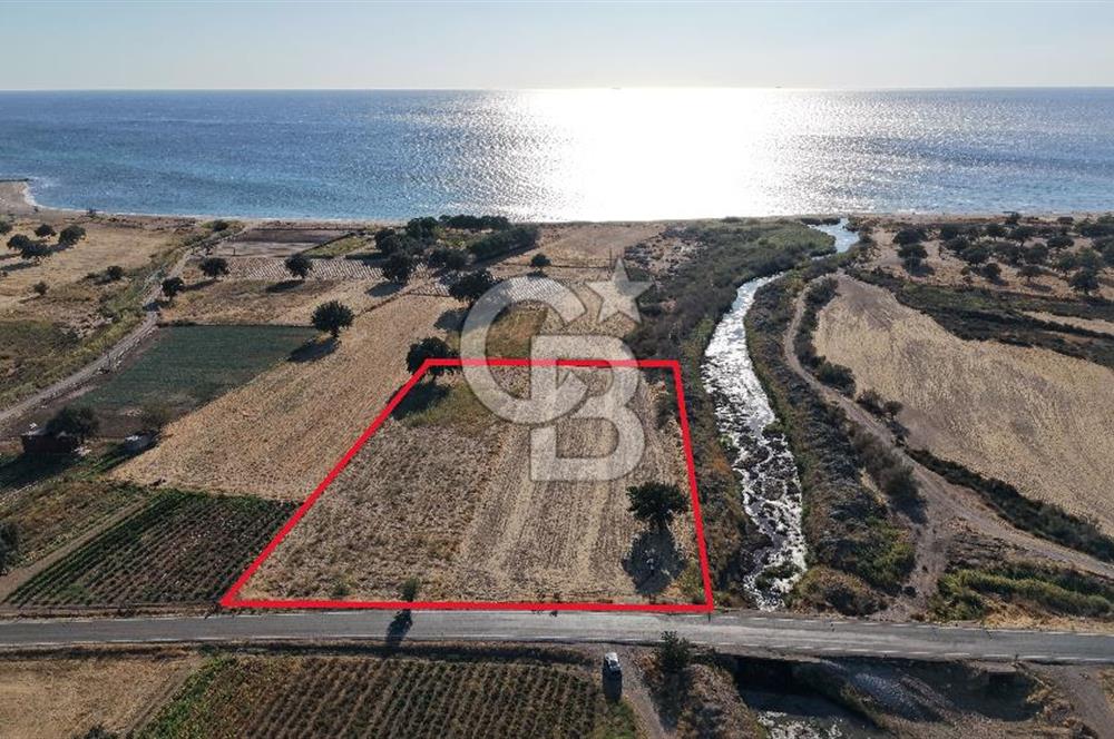 ÇANAKKALE EZİNE AKÇAKEÇİLİDE 7775 m² ASFALT YOLA CEPHE SATILIK ARAZİ