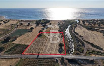 ÇANAKKALE EZİNE AKÇAKEÇİLİDE 7775 m² ASFALT YOLA CEPHE SATILIK ARAZİ