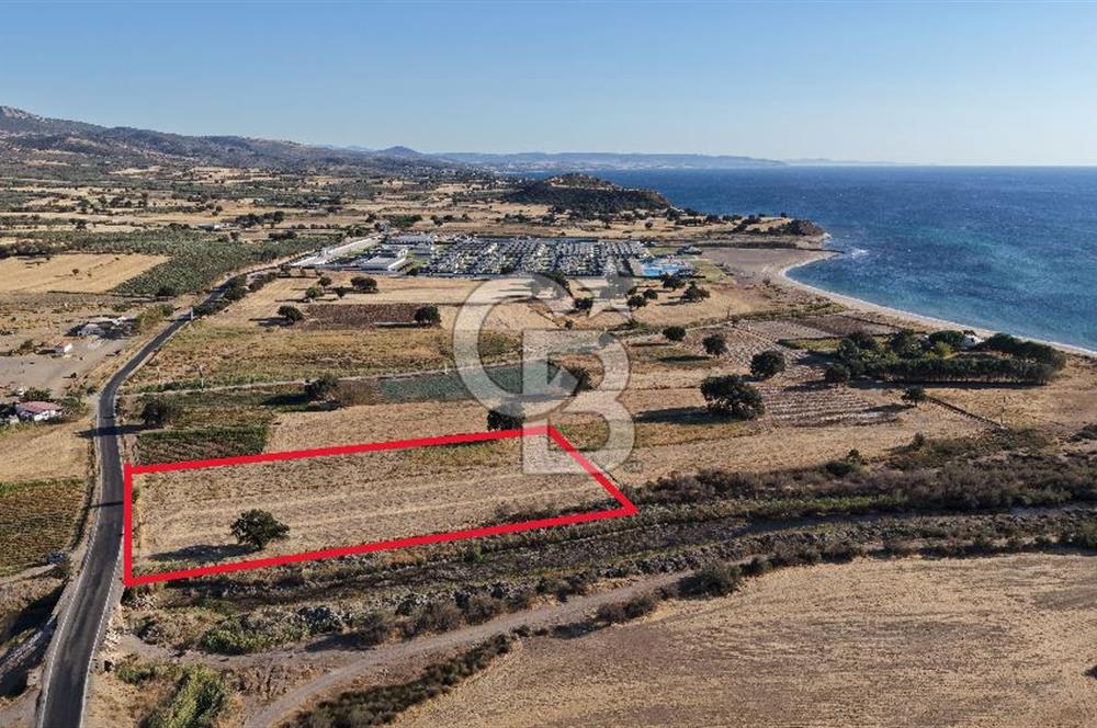 ÇANAKKALE EZİNE AKÇAKEÇİLİDE 7775 m² ASFALT YOLA CEPHE SATILIK ARAZİ