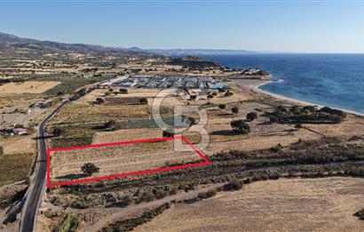 ÇANAKKALE EZİNE AKÇAKEÇİLİDE 7775 m² ASFALT YOLA CEPHE SATILIK ARAZİ