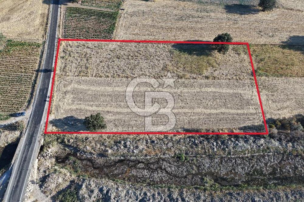 ÇANAKKALE EZİNE AKÇAKEÇİLİDE 7775 m² ASFALT YOLA CEPHE SATILIK ARAZİ
