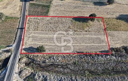 ÇANAKKALE EZİNE AKÇAKEÇİLİDE 7775 m² ASFALT YOLA CEPHE SATILIK ARAZİ