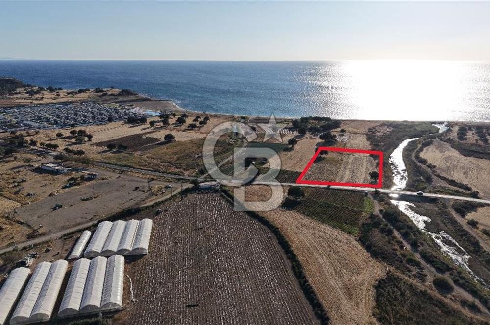 ÇANAKKALE EZİNE AKÇAKEÇİLİDE 7775 m² ASFALT YOLA CEPHE SATILIK ARAZİ