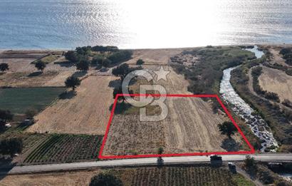 ÇANAKKALE EZİNE AKÇAKEÇİLİDE 7775 m² ASFALT YOLA CEPHE SATILIK ARAZİ