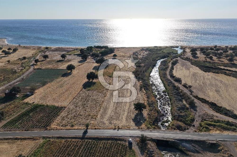 ÇANAKKALE EZİNE AKÇAKEÇİLİDE 7775 m² ASFALT YOLA CEPHE SATILIK ARAZİ
