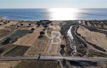 ÇANAKKALE EZİNE AKÇAKEÇİLİDE 7775 m² ASFALT YOLA CEPHE SATILIK ARAZİ