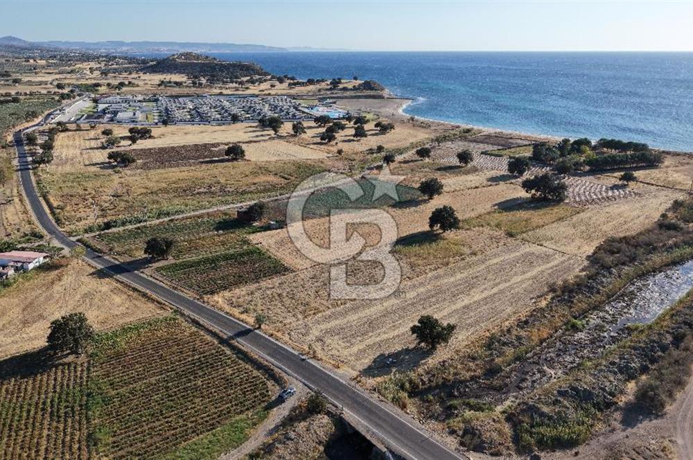 ÇANAKKALE EZİNE AKÇAKEÇİLİDE 7775 m² ASFALT YOLA CEPHE SATILIK ARAZİ