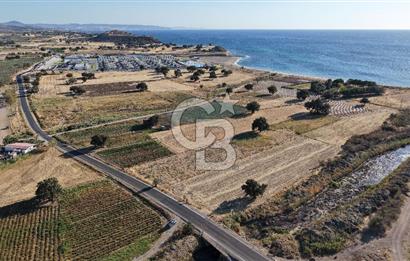 ÇANAKKALE EZİNE AKÇAKEÇİLİDE 7775 m² ASFALT YOLA CEPHE SATILIK ARAZİ
