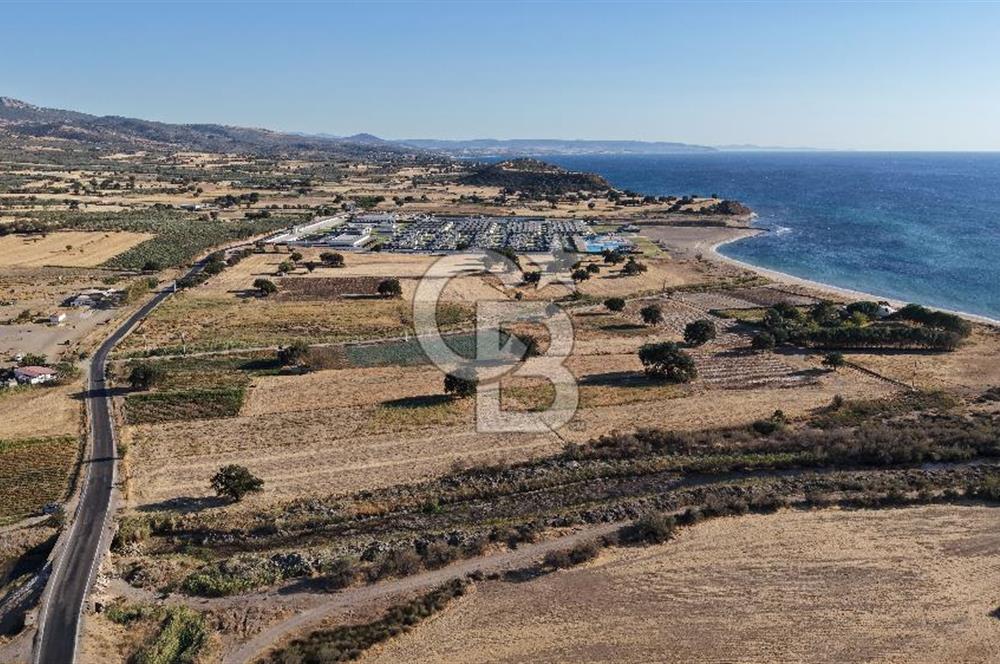 ÇANAKKALE EZİNE AKÇAKEÇİLİDE 7775 m² ASFALT YOLA CEPHE SATILIK ARAZİ