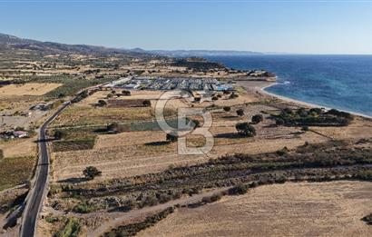 ÇANAKKALE EZİNE AKÇAKEÇİLİDE 7775 m² ASFALT YOLA CEPHE SATILIK ARAZİ