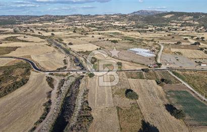 ÇANAKKALE EZİNE AKÇAKEÇİLİDE 7775 m² ASFALT YOLA CEPHE SATILIK ARAZİ