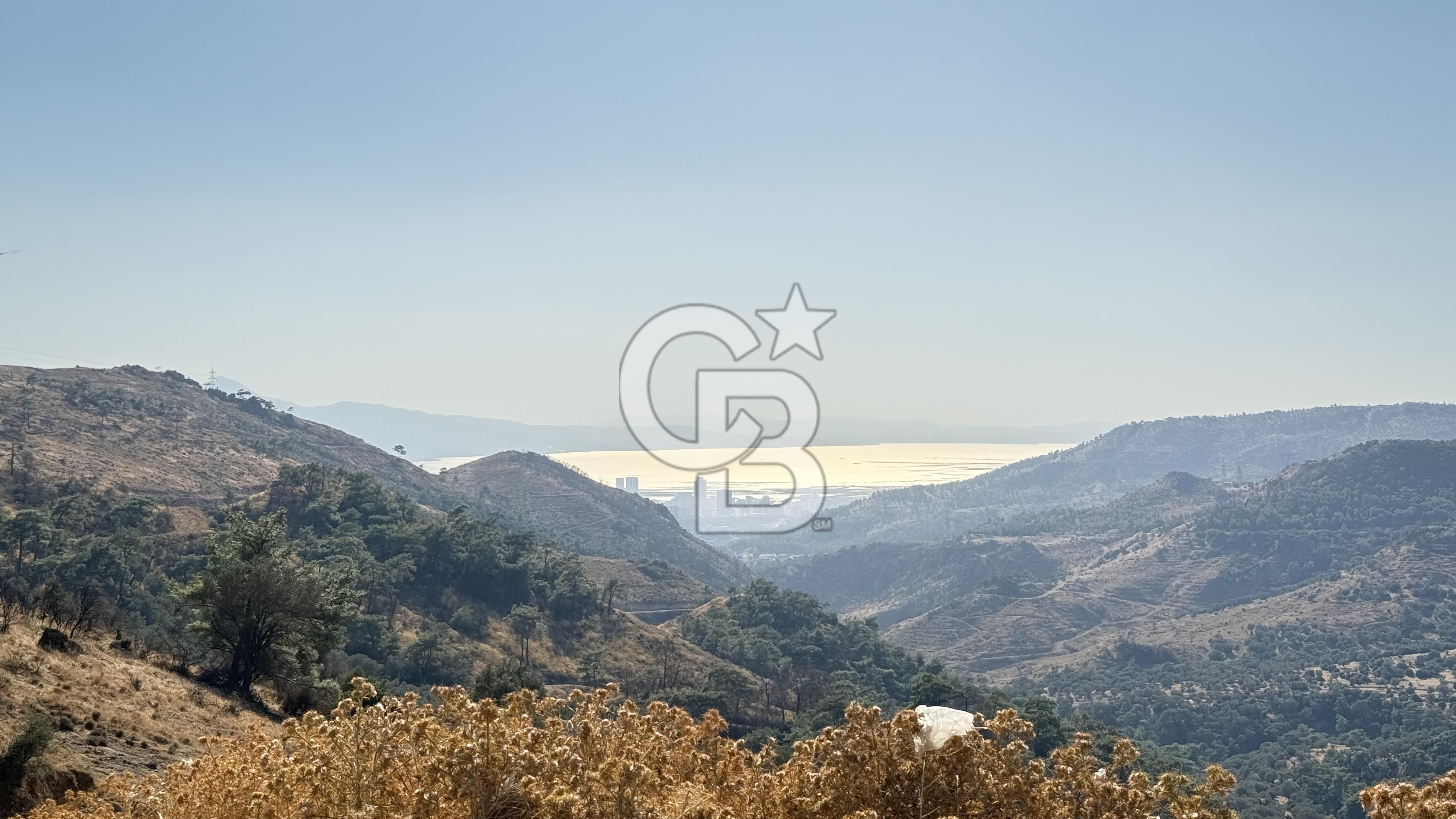 Karşıyaka Yamanlar köyü Şehir Manzaralı Satılık Zeytinlik