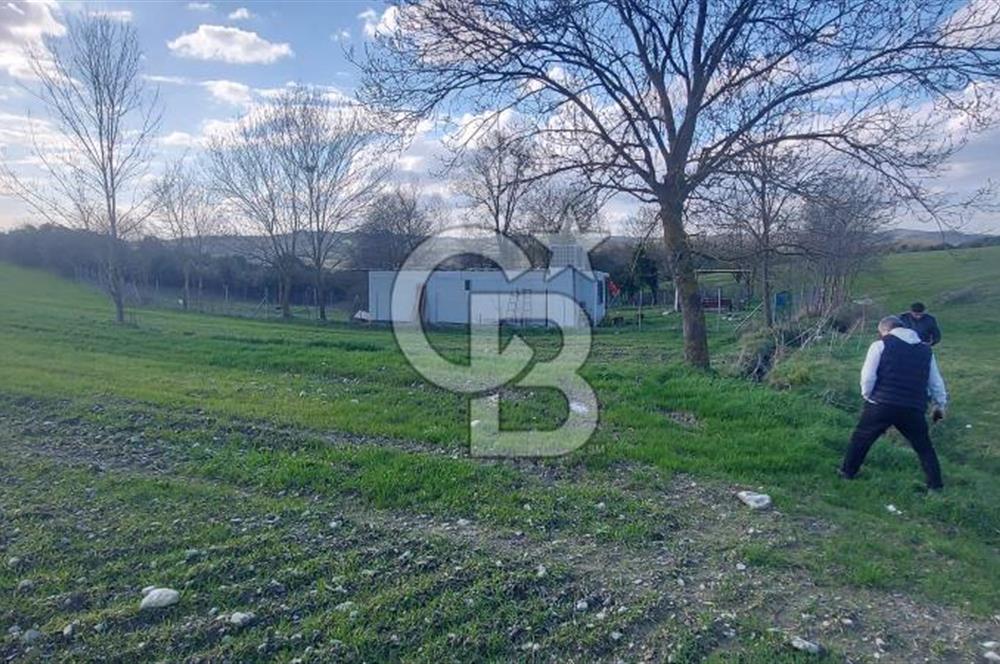 KANDIRA DURAÇALİ KÖY MERKEZİNE YAKIN KONUMDA SATILIK TARLA