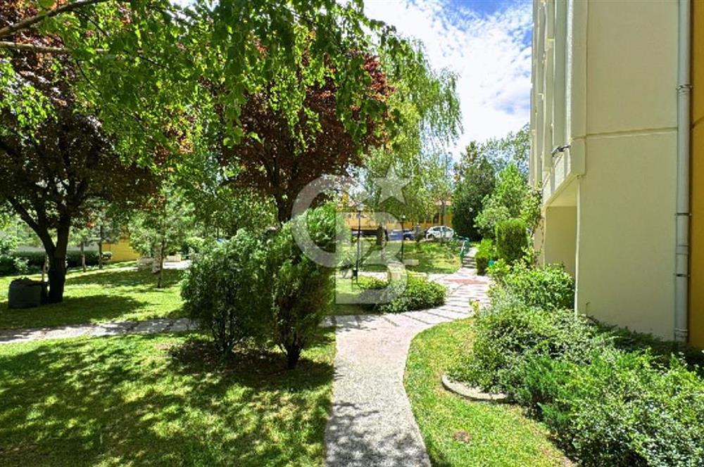 ÇAYYOLU MESA KORU'DA SİTE PEYZAJINA HAKİM, KİLERLİ 3+1 KİRALIK