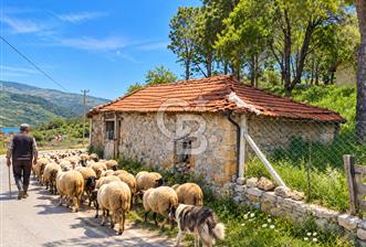 İzmir Bergama Kırcalar Ana Yol Üzerinde Satılık Müstakil Ev - 1 - 377006