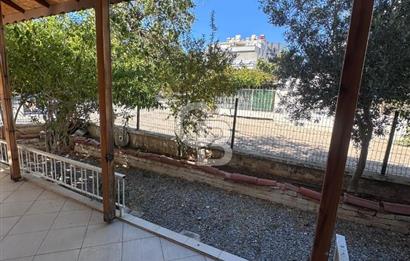 Çamlık mah bitişik Nizam Yazlık