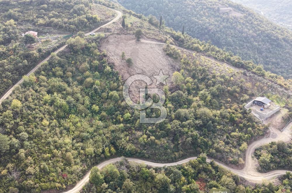 FIRSAT HALIDERE KÖRFEZ MANZARALI İMARA YAKIN KONUMDA 2700 M2 BAĞ