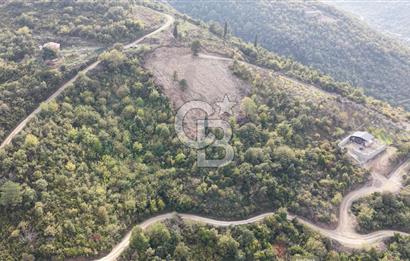 FIRSAT HALIDERE KÖRFEZ MANZARALI İMARA YAKIN KONUMDA 2700 M2 BAĞ
