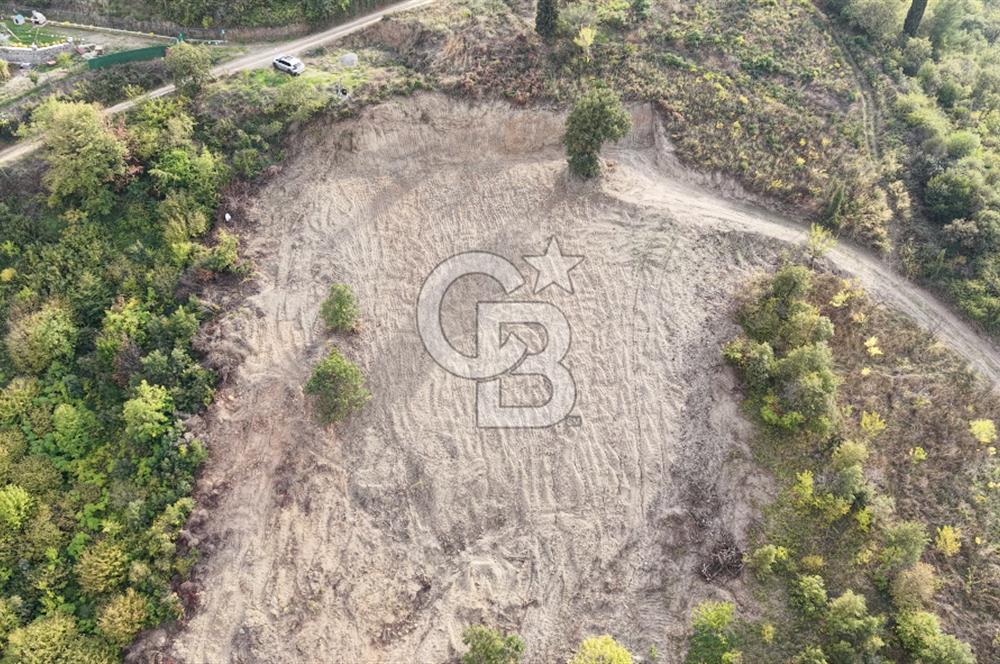 FIRSAT HALIDERE KÖRFEZ MANZARALI İMARA YAKIN KONUMDA 2700 M2 BAĞ