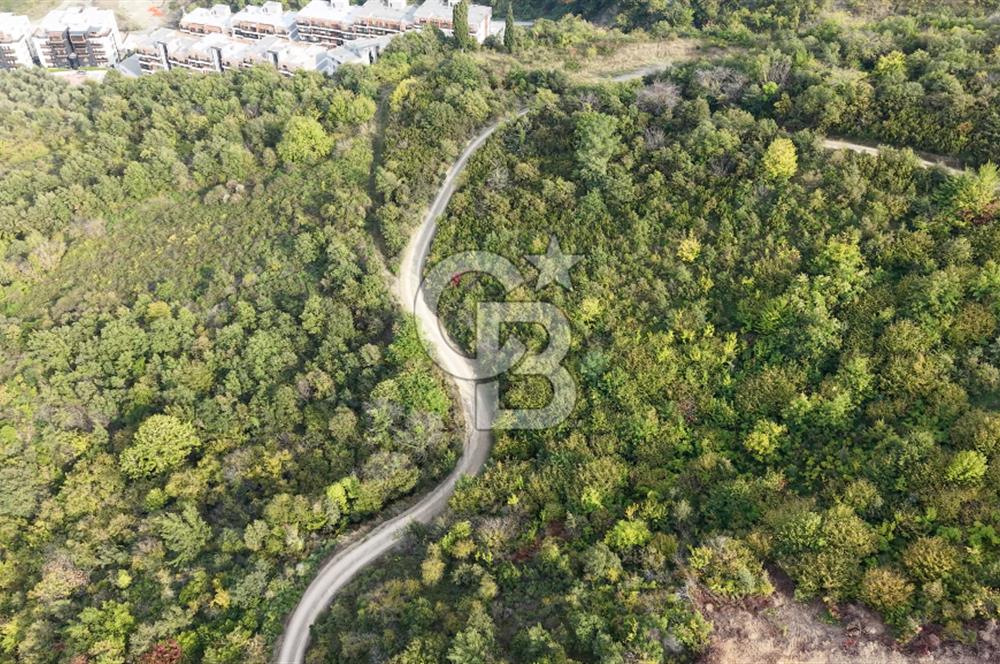 FIRSAT HALIDERE KÖRFEZ MANZARALI İMARA YAKIN KONUMDA 2700 M2 BAĞ