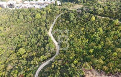 FIRSAT HALIDERE KÖRFEZ MANZARALI İMARA YAKIN KONUMDA 2700 M2 BAĞ