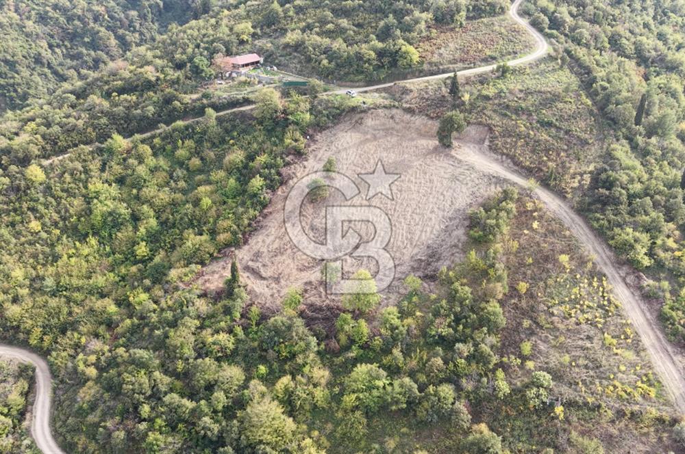 FIRSAT HALIDERE KÖRFEZ MANZARALI İMARA YAKIN KONUMDA 2700 M2 BAĞ