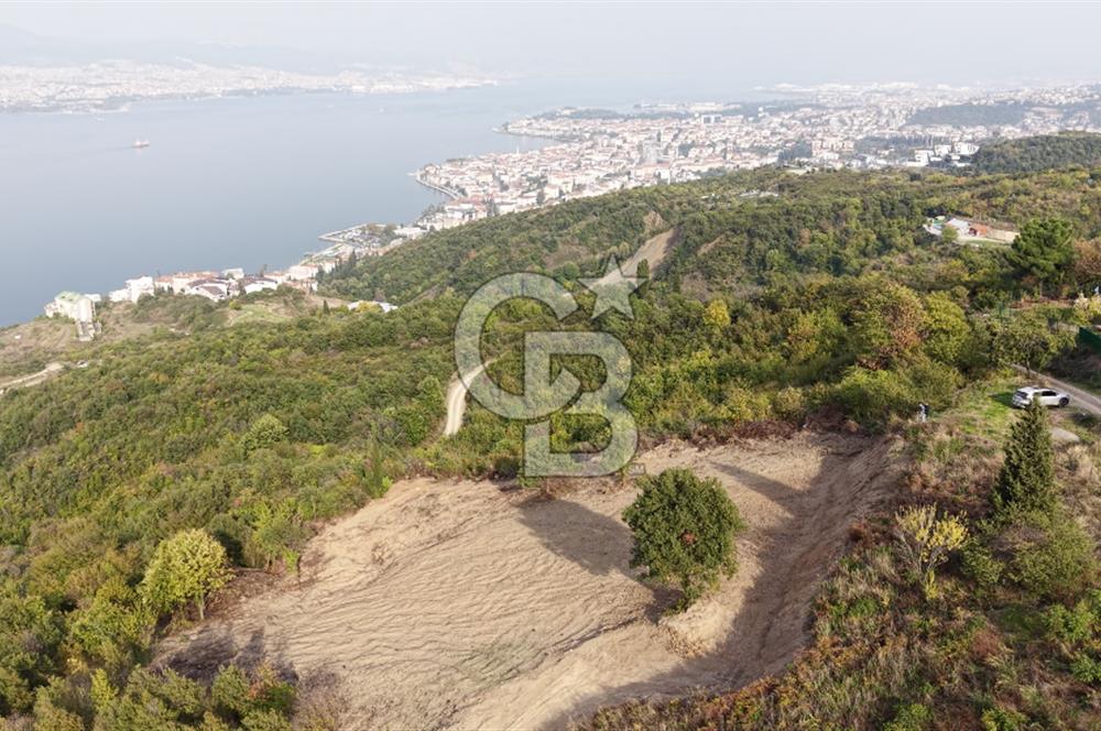FIRSAT HALIDERE KÖRFEZ MANZARALI İMARA YAKIN KONUMDA 2700 M2 BAĞ
