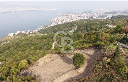 FIRSAT HALIDERE KÖRFEZ MANZARALI İMARA YAKIN KONUMDA 2700 M2 BAĞ