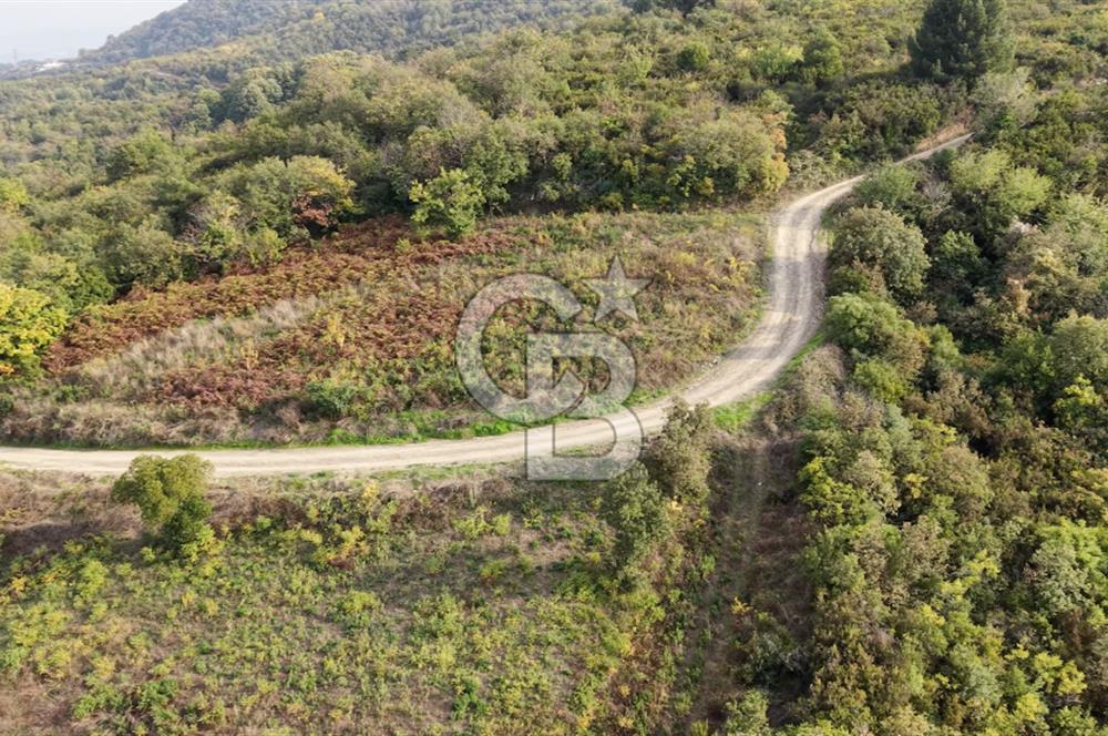 FIRSAT HALIDERE KÖRFEZ MANZARALI İMARA YAKIN KONUMDA 2700 M2 BAĞ