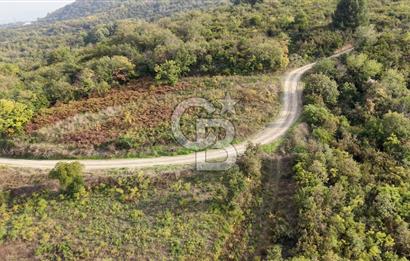 FIRSAT HALIDERE KÖRFEZ MANZARALI İMARA YAKIN KONUMDA 2700 M2 BAĞ