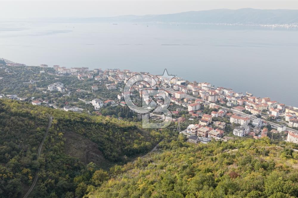 FIRSAT HALIDERE KÖRFEZ MANZARALI İMARA YAKIN KONUMDA 2700 M2 BAĞ