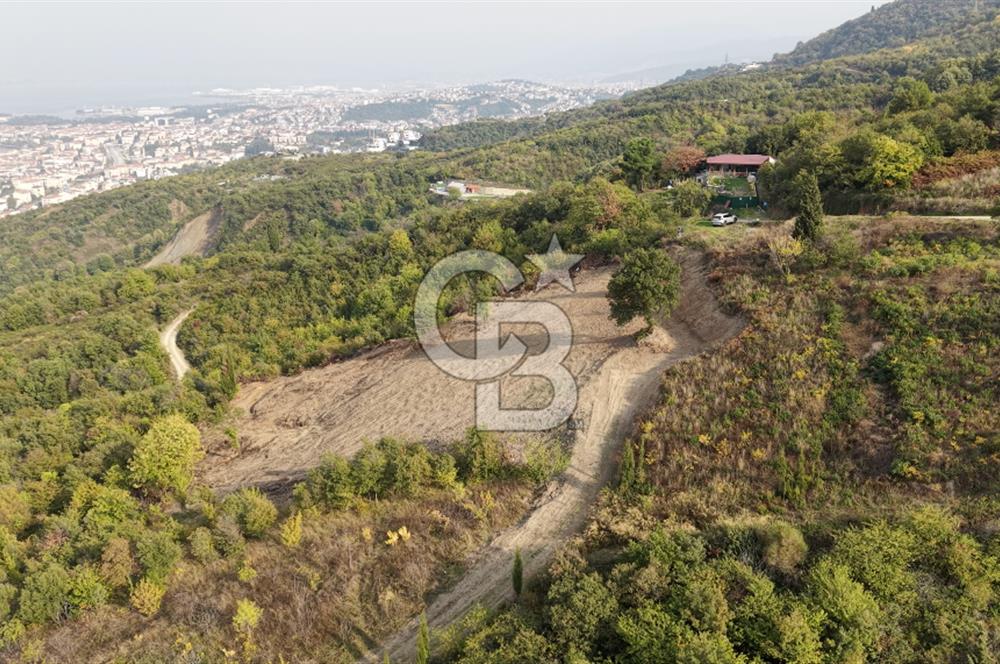 FIRSAT HALIDERE KÖRFEZ MANZARALI İMARA YAKIN KONUMDA 2700 M2 BAĞ