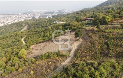 FIRSAT HALIDERE KÖRFEZ MANZARALI İMARA YAKIN KONUMDA 2700 M2 BAĞ