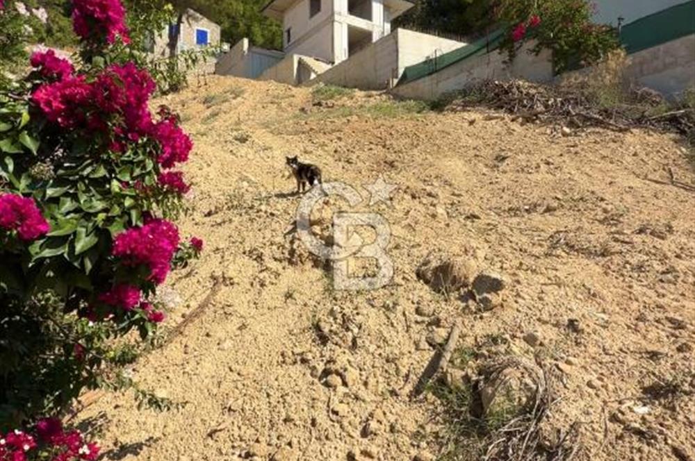 Muğla Ula Ataköy'de Kaçırılmayacak Villa İmarlı Arsa