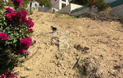 Muğla Ula Ataköy'de Kaçırılmayacak Villa İmarlı Arsa
