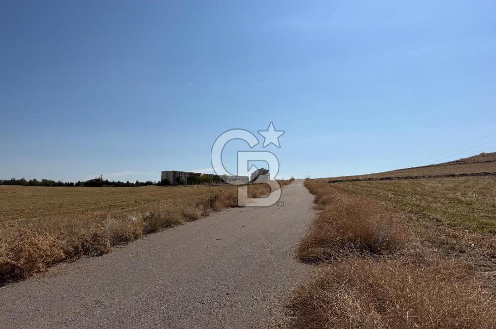 GÜDÜL GÜNEYCEDE KONUT-TURİZM İMARLI ARSA