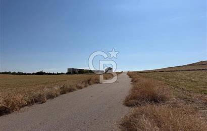 GÜDÜL GÜNEYCEDE KONUT-TURİZM İMARLI ARSA
